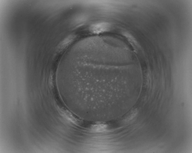 X0000065980266200603031202