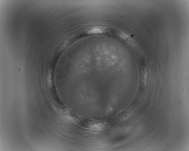 X0000065980267200603031202