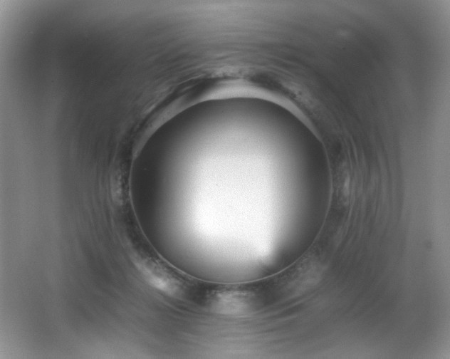 X0000065980268200603031202