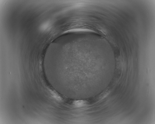 X0000065980269200603031202