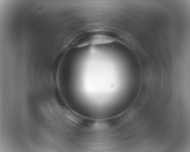 X0000065980270200603031202