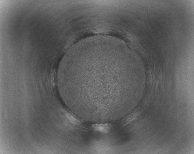 X0000065980273200603031202