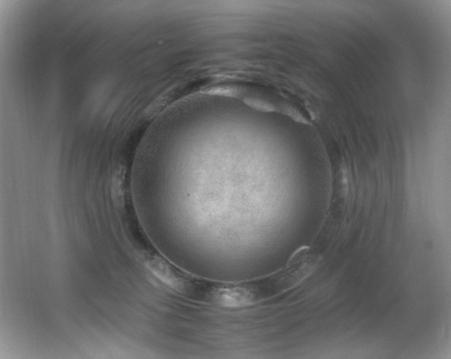 X0000065980275200603031202