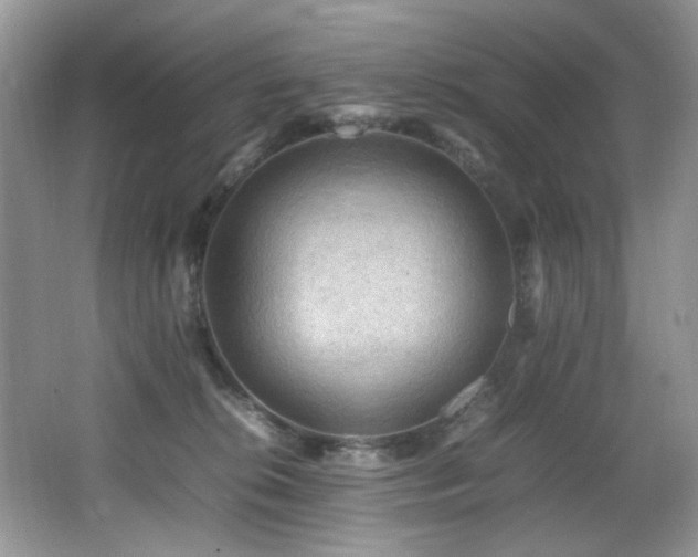 X0000065980276200603031202