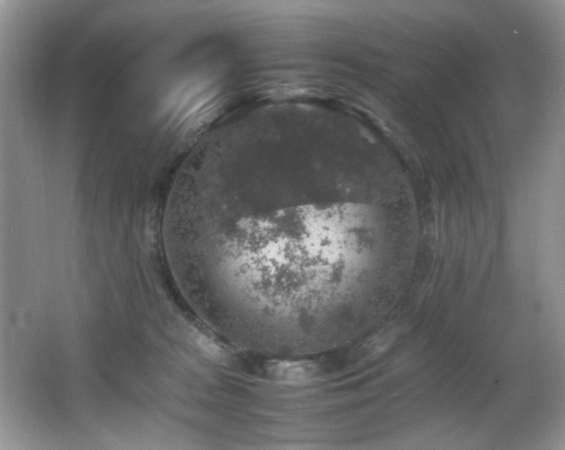 X0000065980277200603031202