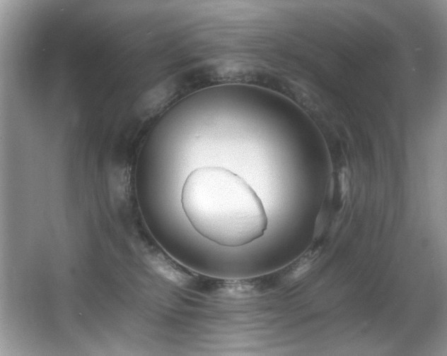 X0000065980278200603031202