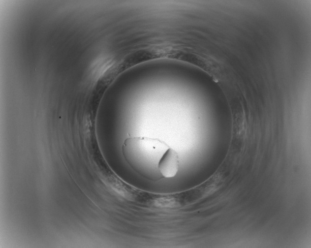 X0000065980279200603031202