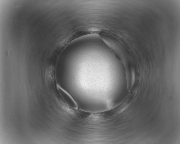 X0000065980280200603031202