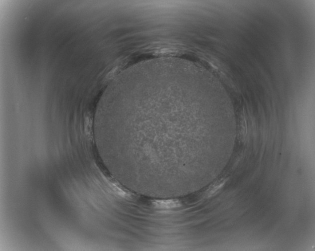 X0000065980281200603031202