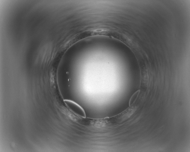 X0000065980282200603031202