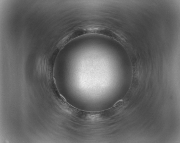 X0000065980283200603031202