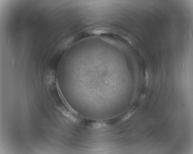 X0000065980284200603031202