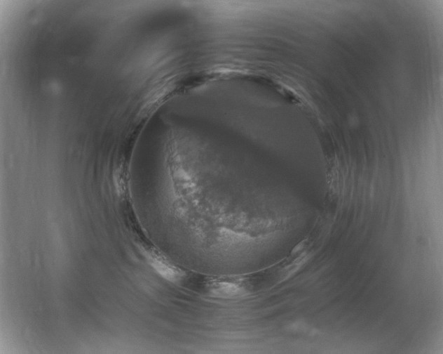 X0000065980285200603031203