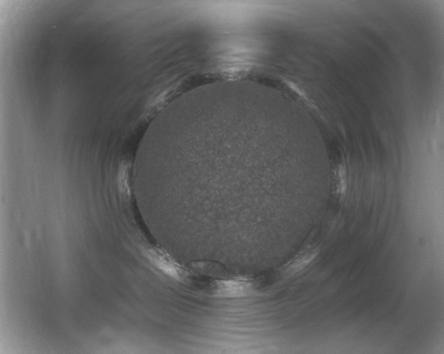 X0000065980286200603031203