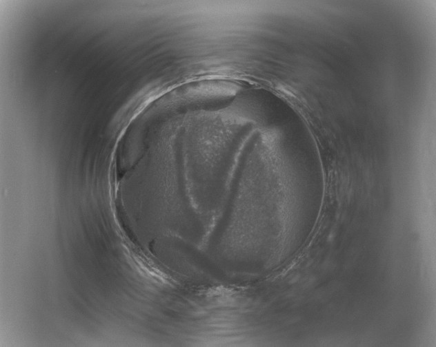 X0000065980290200603031202