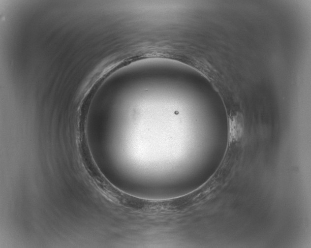 X0000065980291200603031202