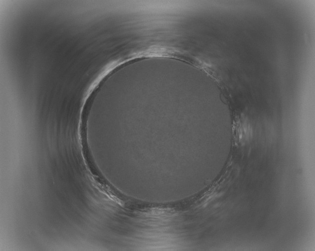 X0000065980292200603031202