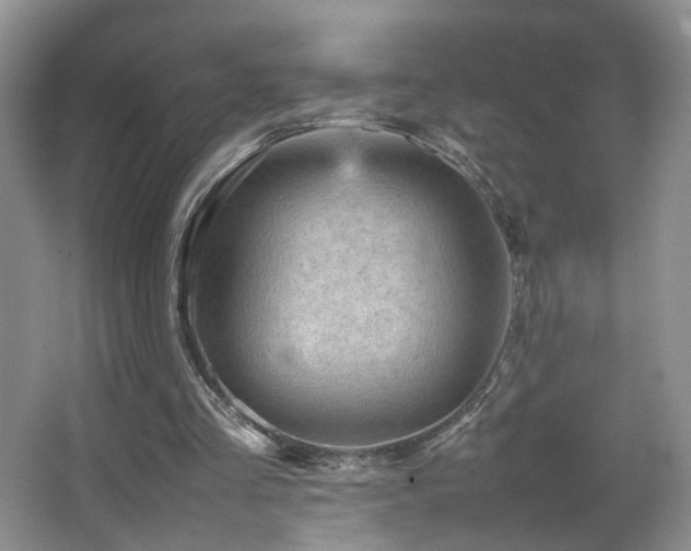 X0000065980293200603031202