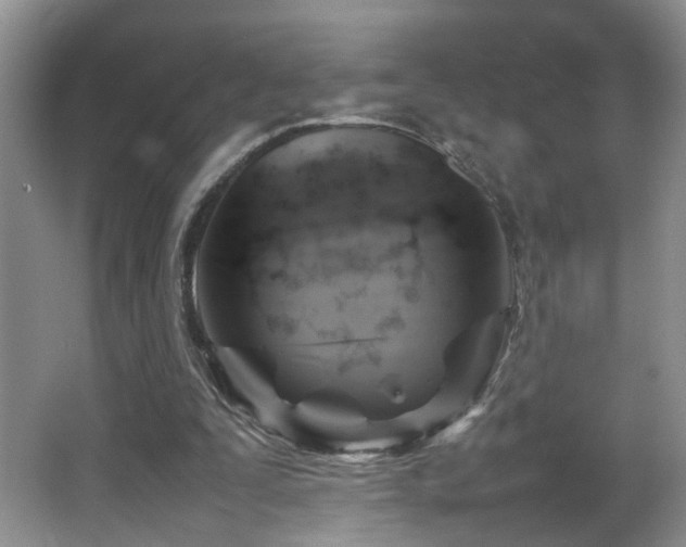 X0000065980295200603031202