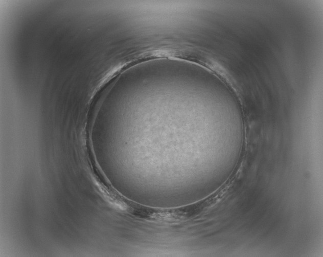 X0000065980297200603031202