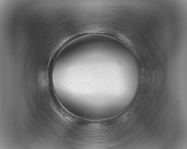 X0000065980298200603031202