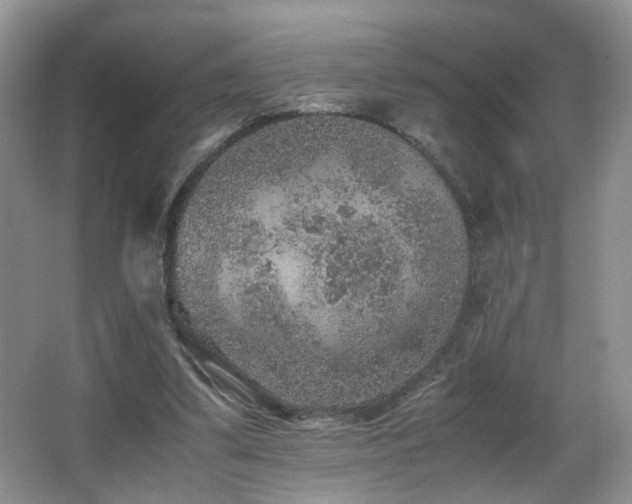 X0000065980299200603031202