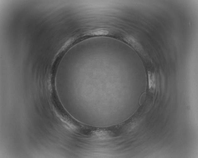 X0000065980300200603031202