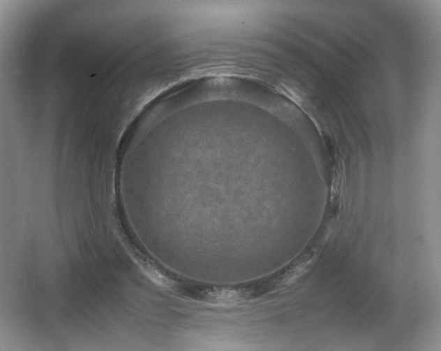 X0000065980301200603031202