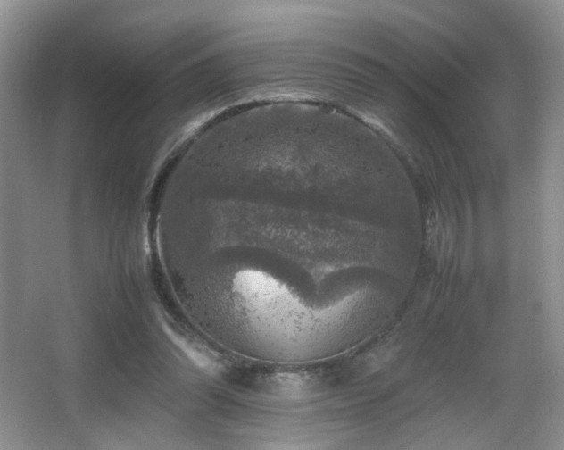 X0000065980302200603031202