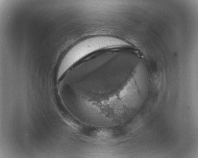 X0000065980303200603031202