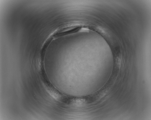 X0000065980304200603031201