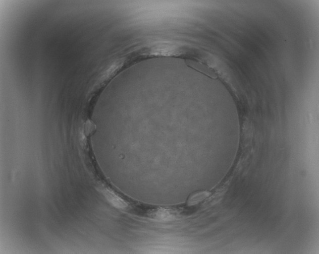 X0000065980305200603031201