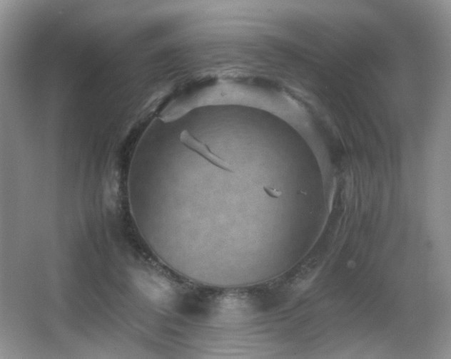 X0000065980308200603031201