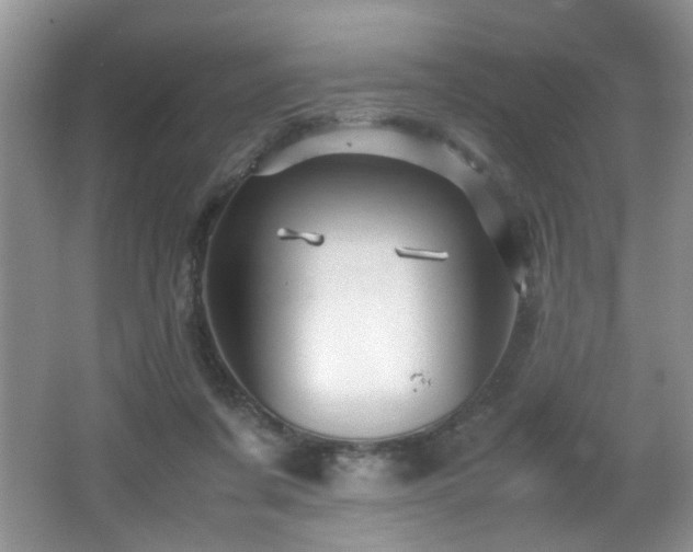 X0000065980311200603031201