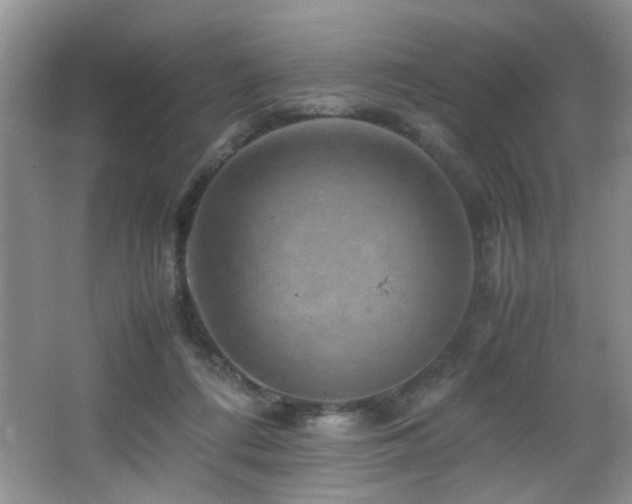 X0000065980312200603031201