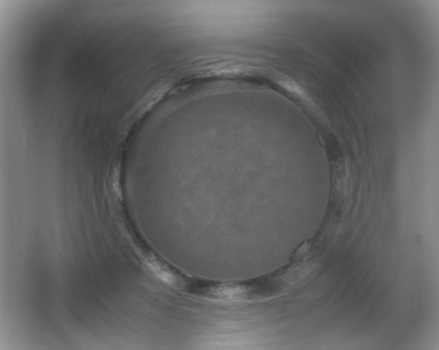 X0000065980313200603031201