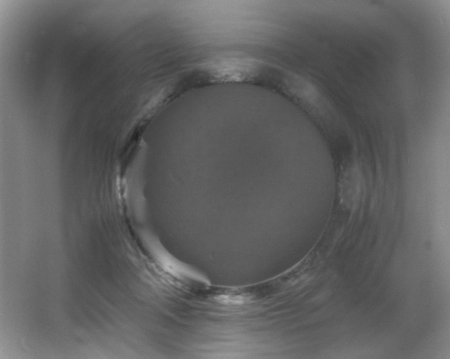 X0000065980314200603031201