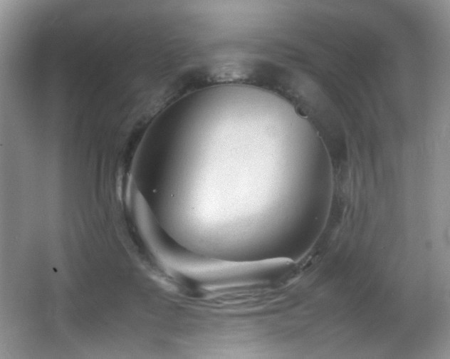 X0000065980315200603031201