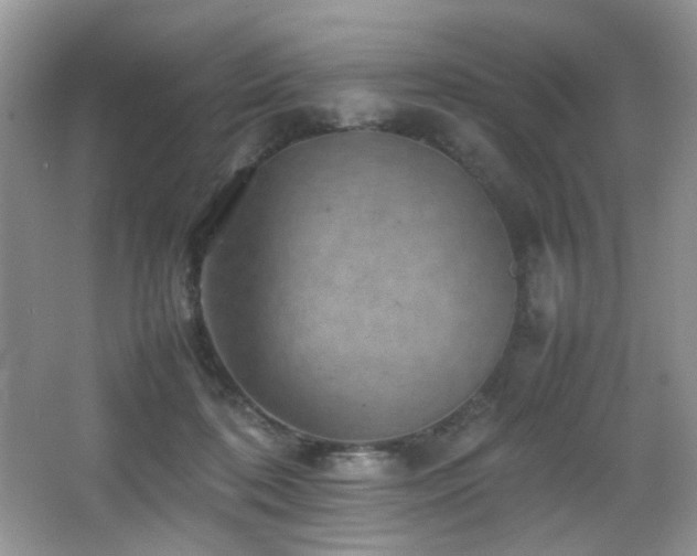 X0000065980316200603031201