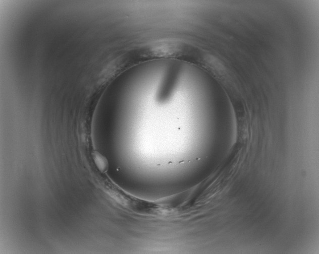 X0000065980317200603031201