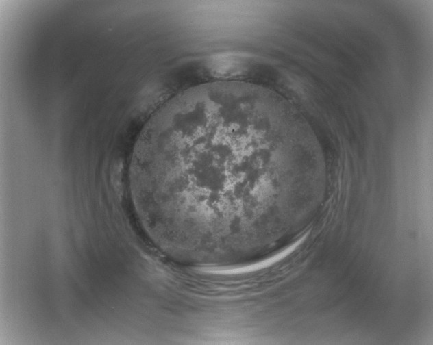 X0000065980319200603031201