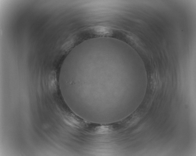 X0000065980320200603031201