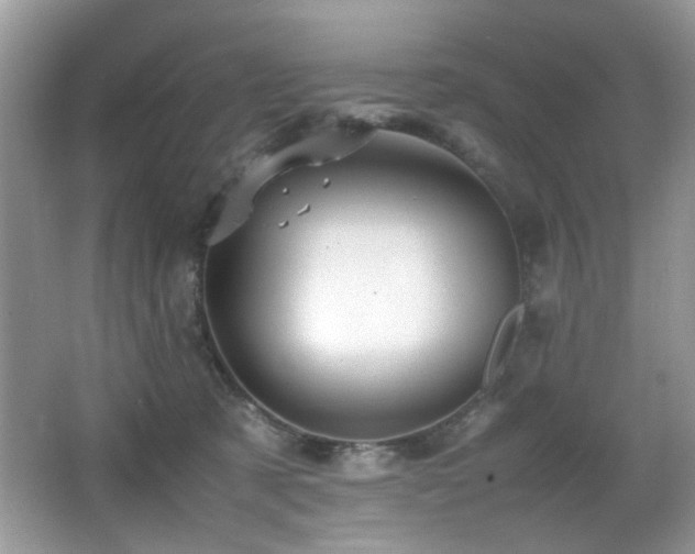 X0000065980321200603031201