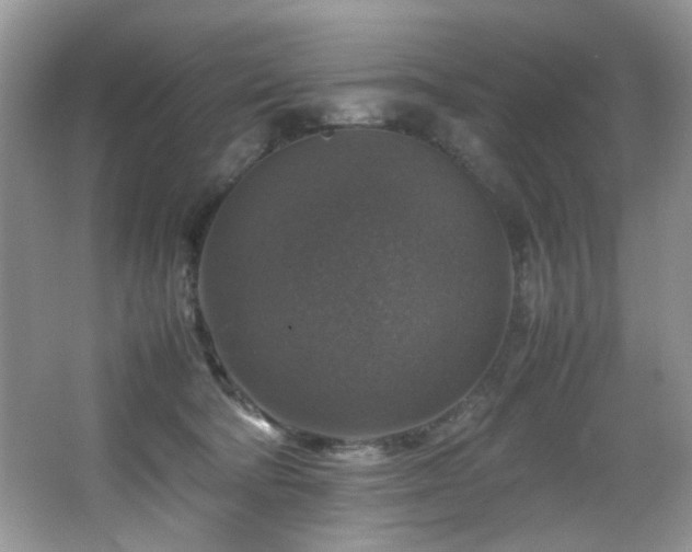 X0000065980322200603031201