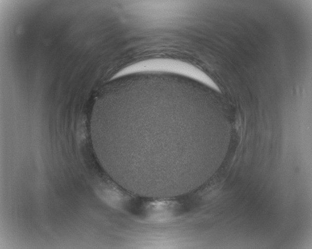 X0000065980323200603031201