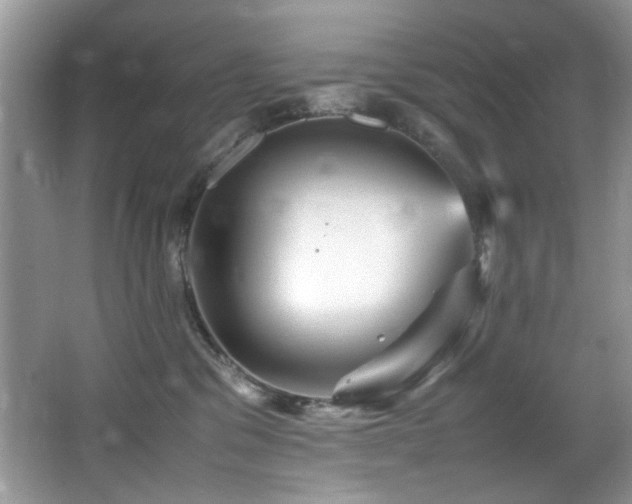 X0000065980329200603031201