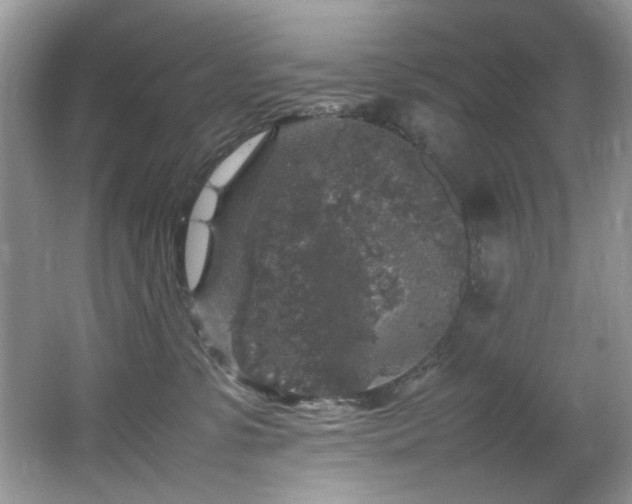 X0000065980331200603031201