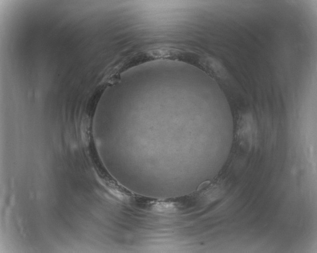 X0000065980332200603031201