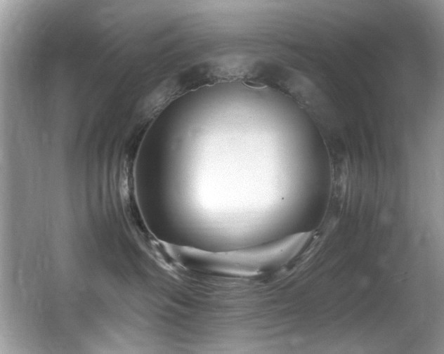 X0000065980334200603031201