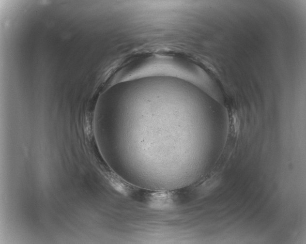 X0000065980335200603031201